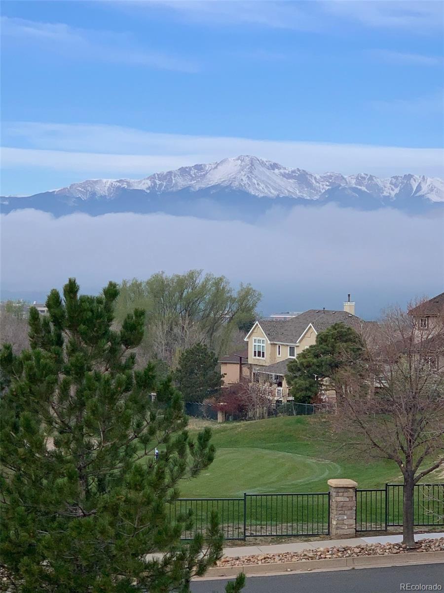 9935 Sawleaf Court Colorado Springs CO 80920
