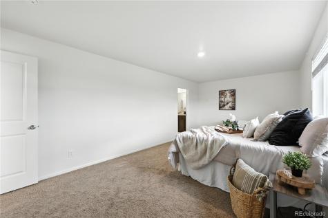 9723 Borderpine Way Colorado Springs CO 80925