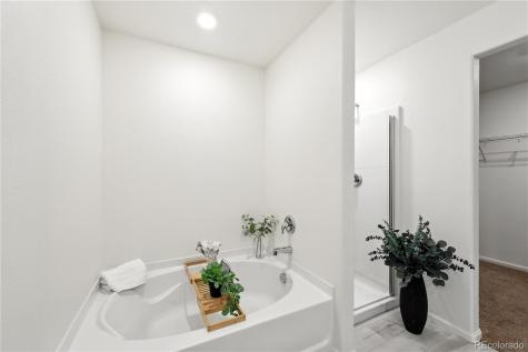 9723 Borderpine Way Colorado Springs CO 80925