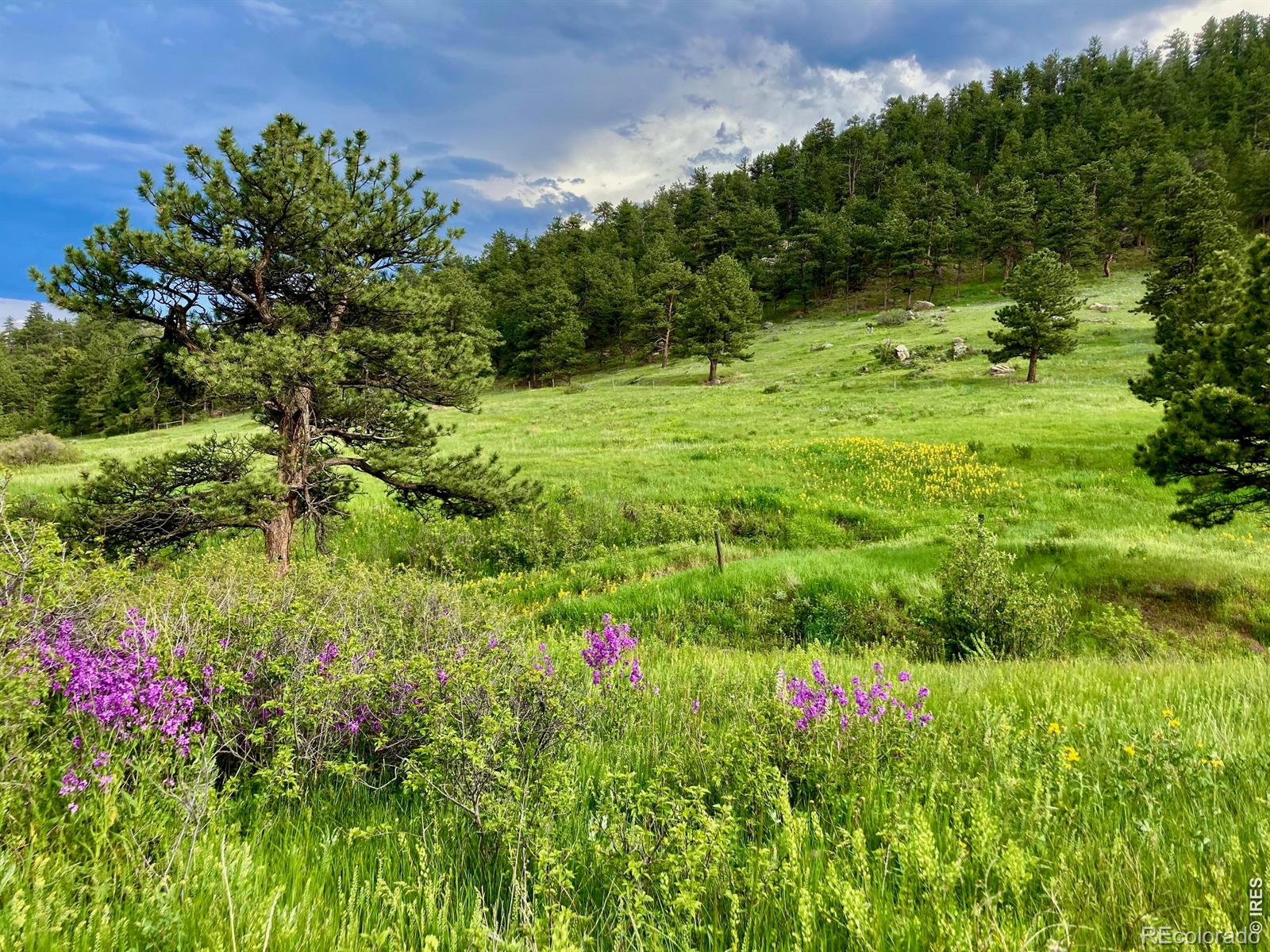 95 Rowell Drive Lyons CO 80540
