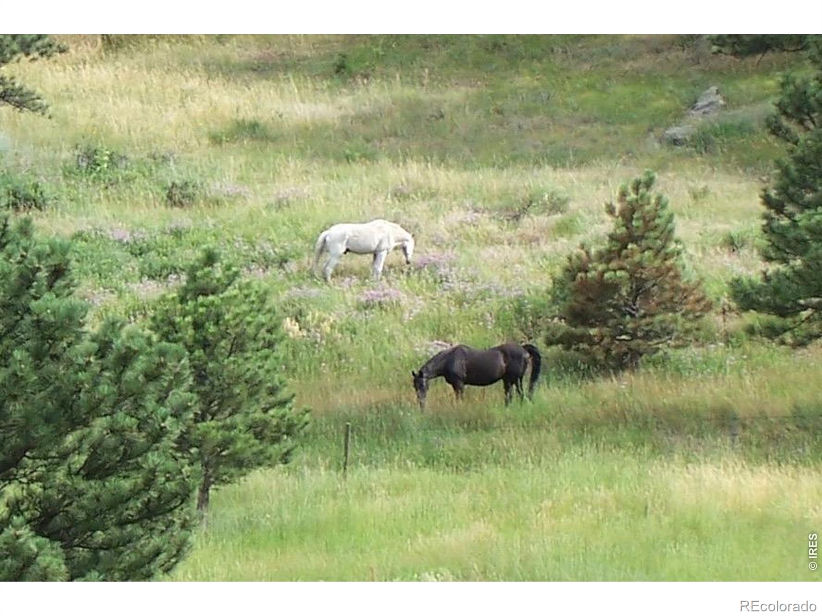 95 Rowell Drive Lyons CO 80540