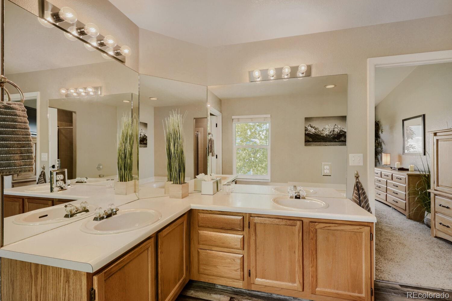 834 S Carlton Street Castle Rock CO 80104