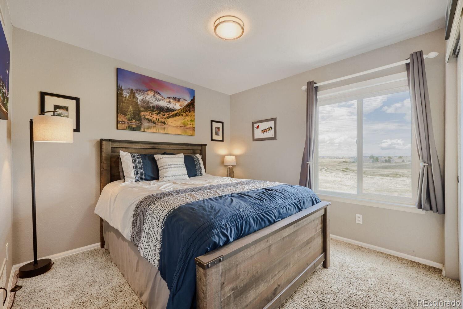 834 S Carlton Street Castle Rock CO 80104