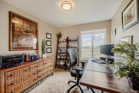 834 S Carlton Street Castle Rock CO 80104