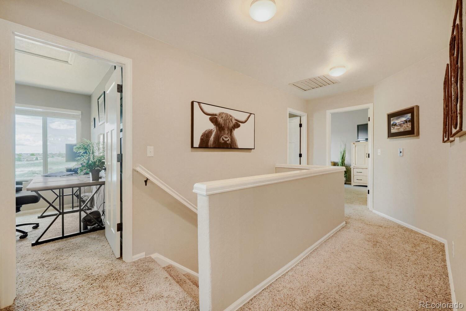 834 S Carlton Street Castle Rock CO 80104