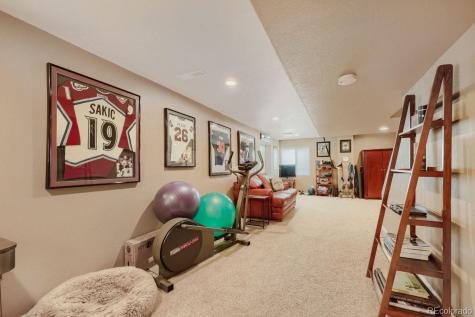 834 S Carlton Street Castle Rock CO 80104