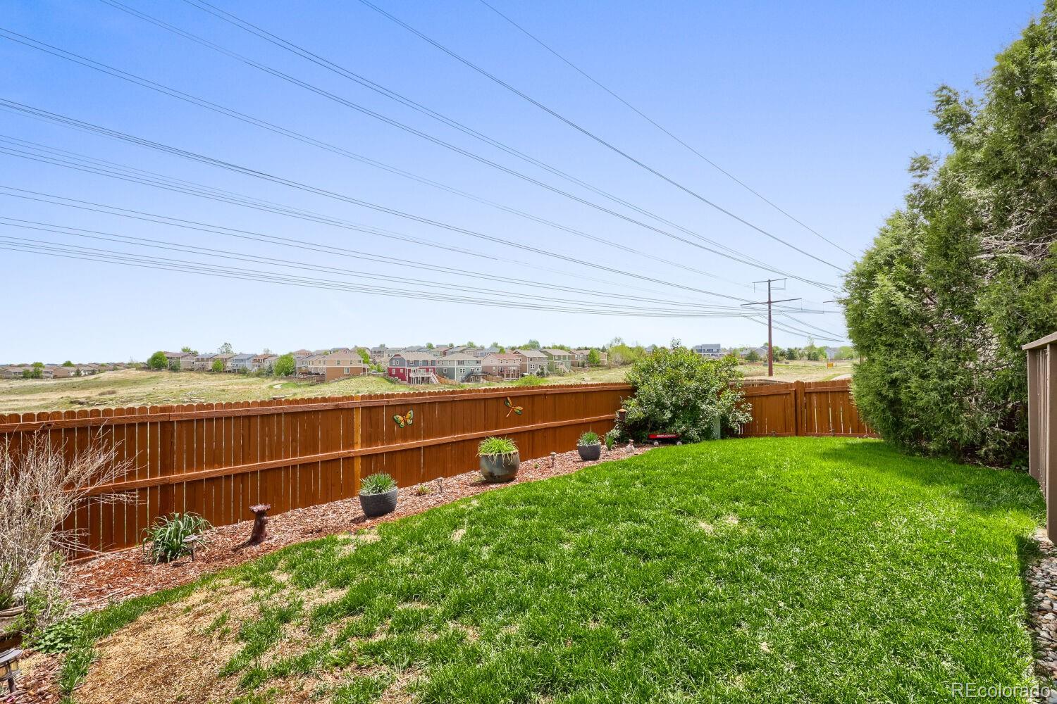 834 S Carlton Street Castle Rock CO 80104