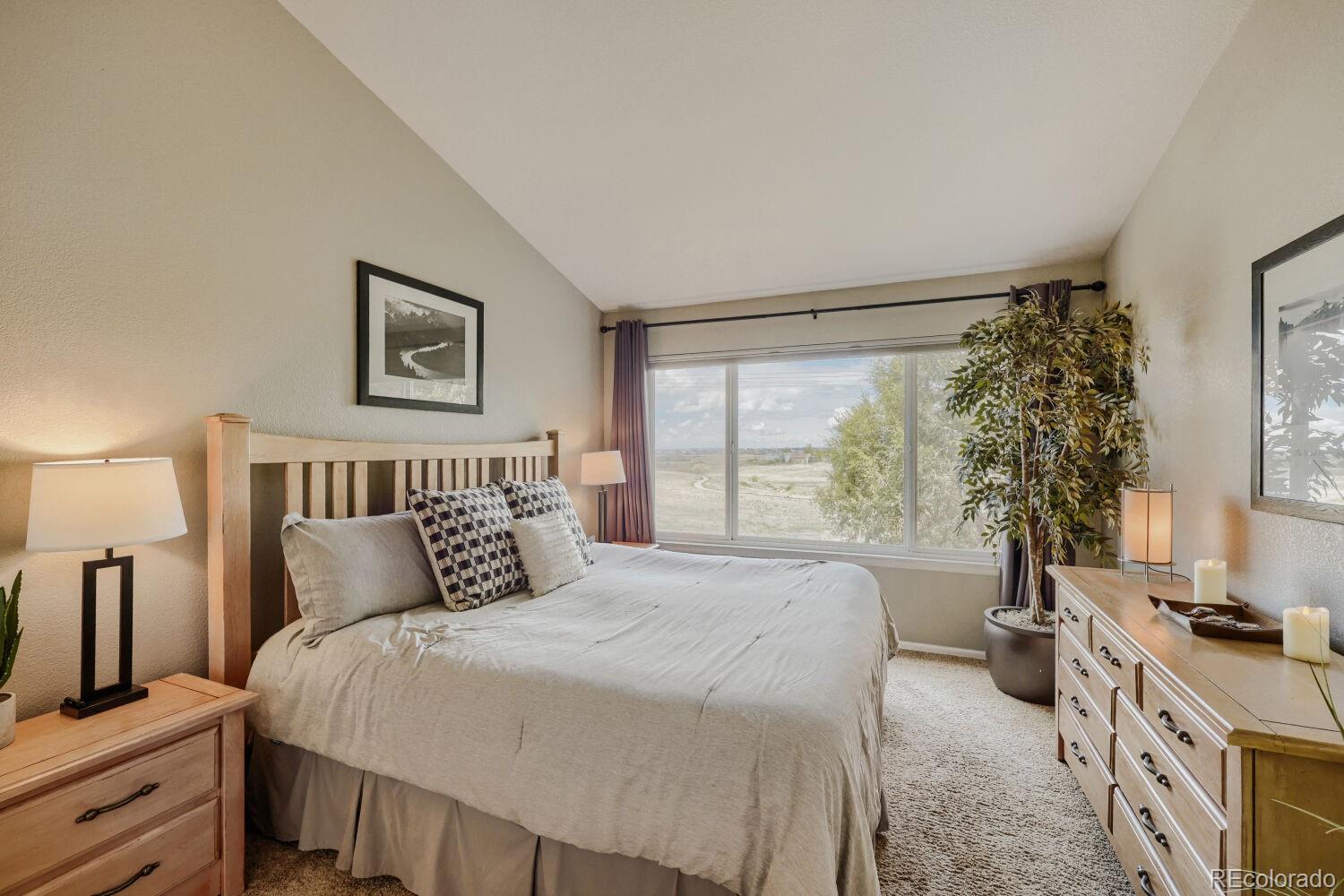 834 S Carlton Street Castle Rock CO 80104