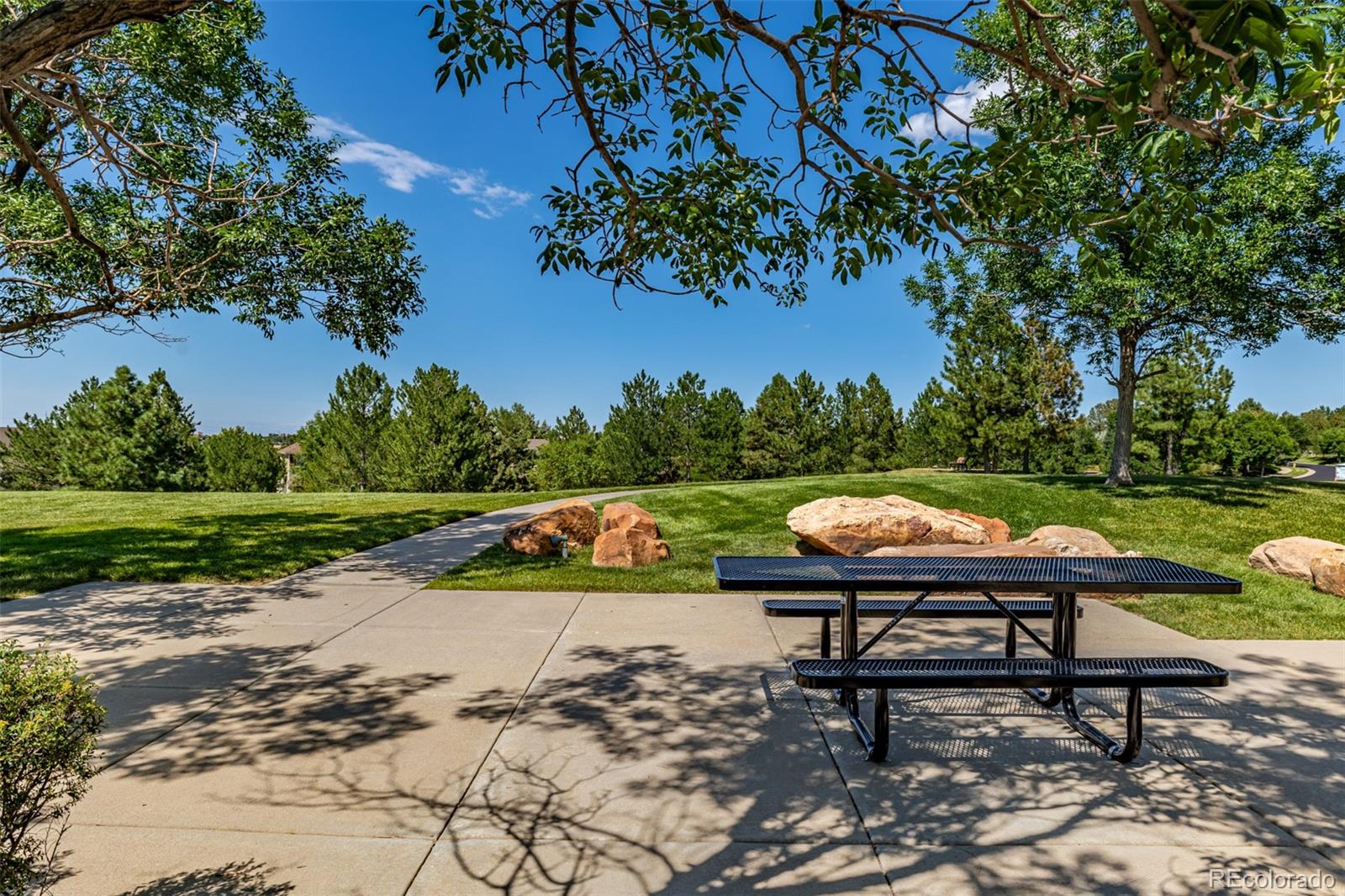 24248 E Roxbury Circle Aurora CO 80016