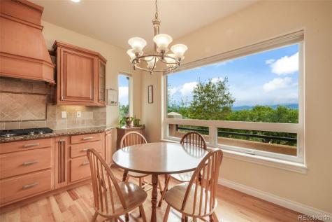 20316 High Pines Drive Monument CO 80132
