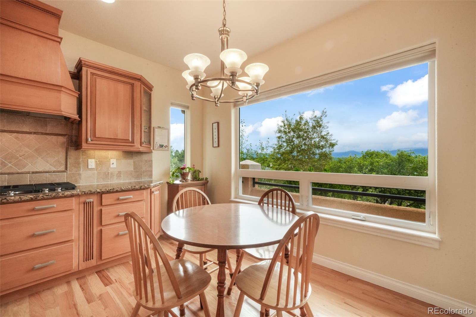 20316 High Pines Drive Monument CO 80132