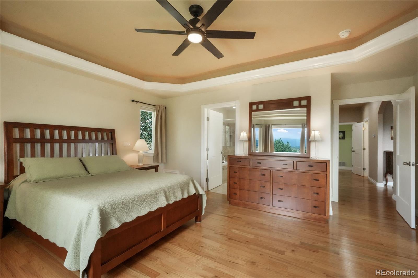 20316 High Pines Drive Monument CO 80132
