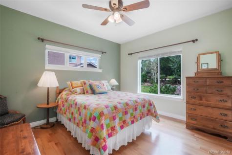 20316 High Pines Drive Monument CO 80132