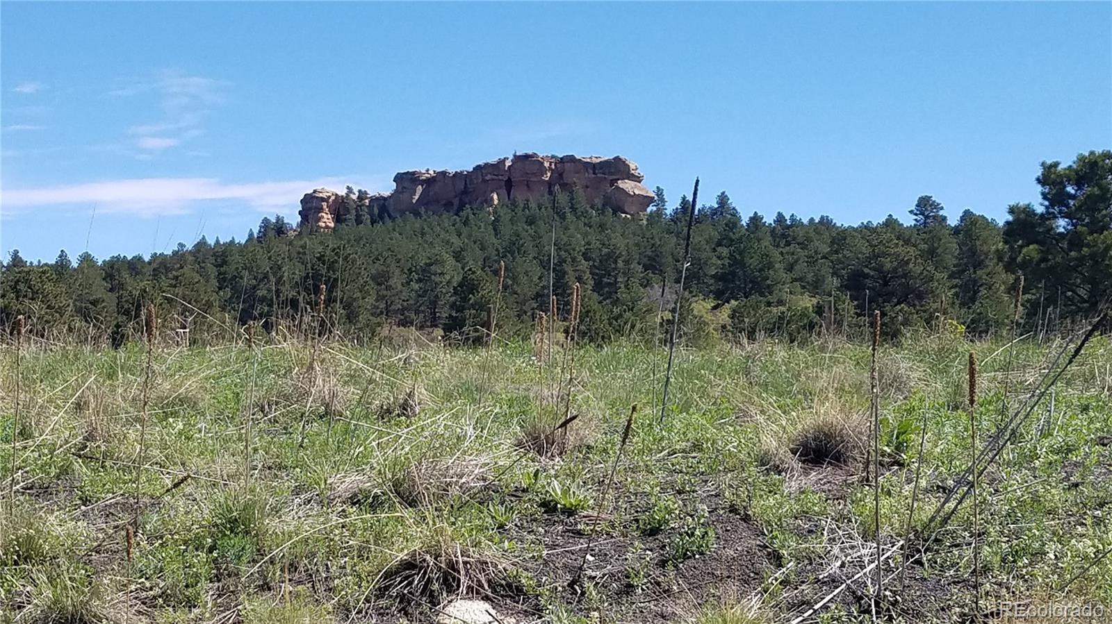 141 Virginia Avenue Palmer Lake CO 80133