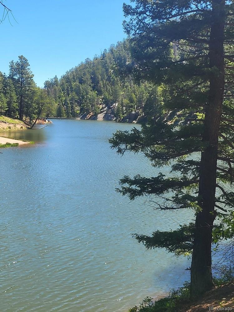 141 Virginia Avenue Palmer Lake CO 80133