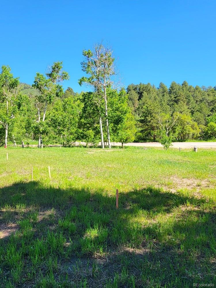 141 Virginia Avenue Palmer Lake CO 80133