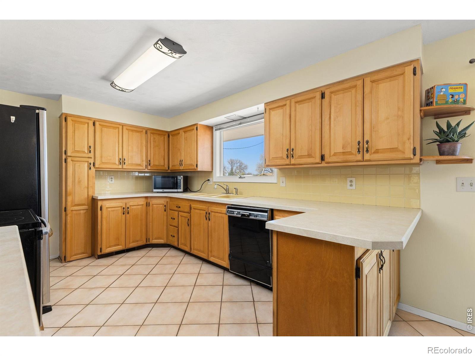 218 Bothun Road Berthoud CO 80513