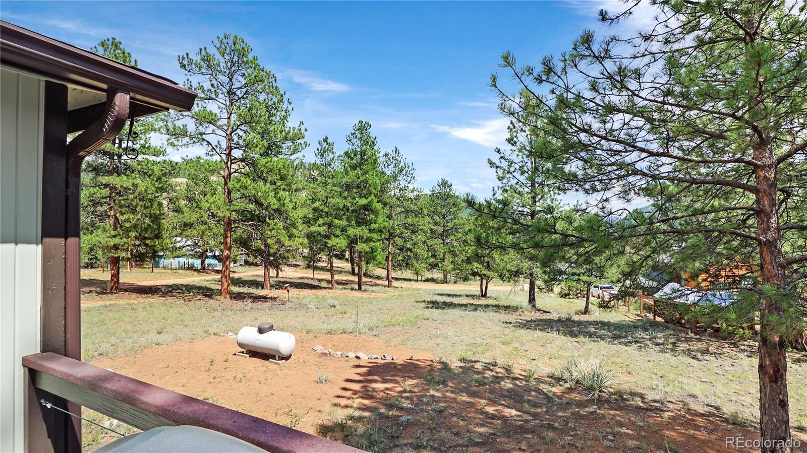 28488 Park Avenue Pine CO 80470