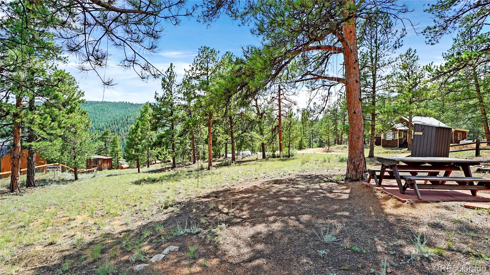 28488 Park Avenue Pine CO 80470