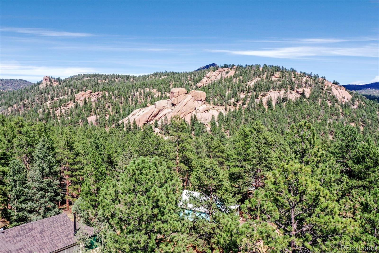 28488 Park Avenue Pine CO 80470