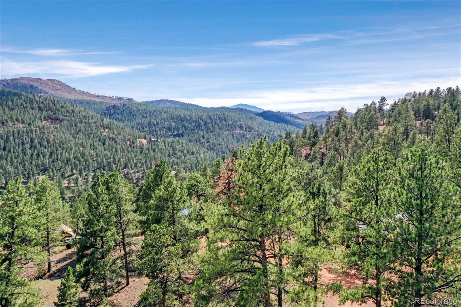 28488 Park Avenue Pine CO 80470