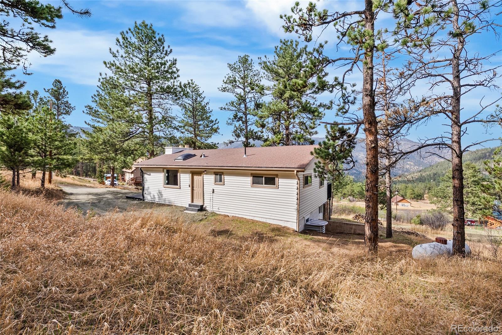 96 Moose Road Lyons CO 80540