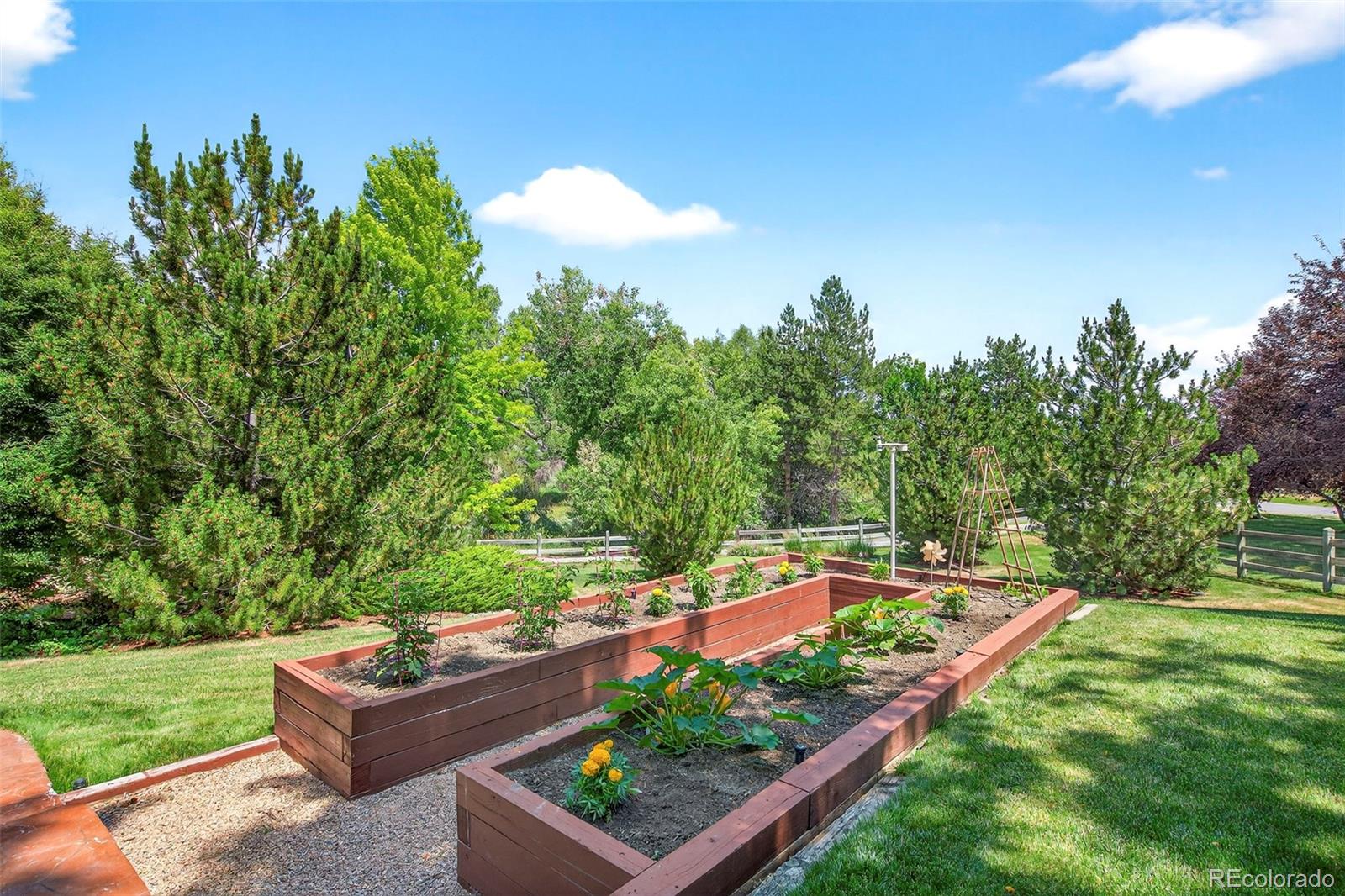 8478 Haystack Court Niwot CO 80503