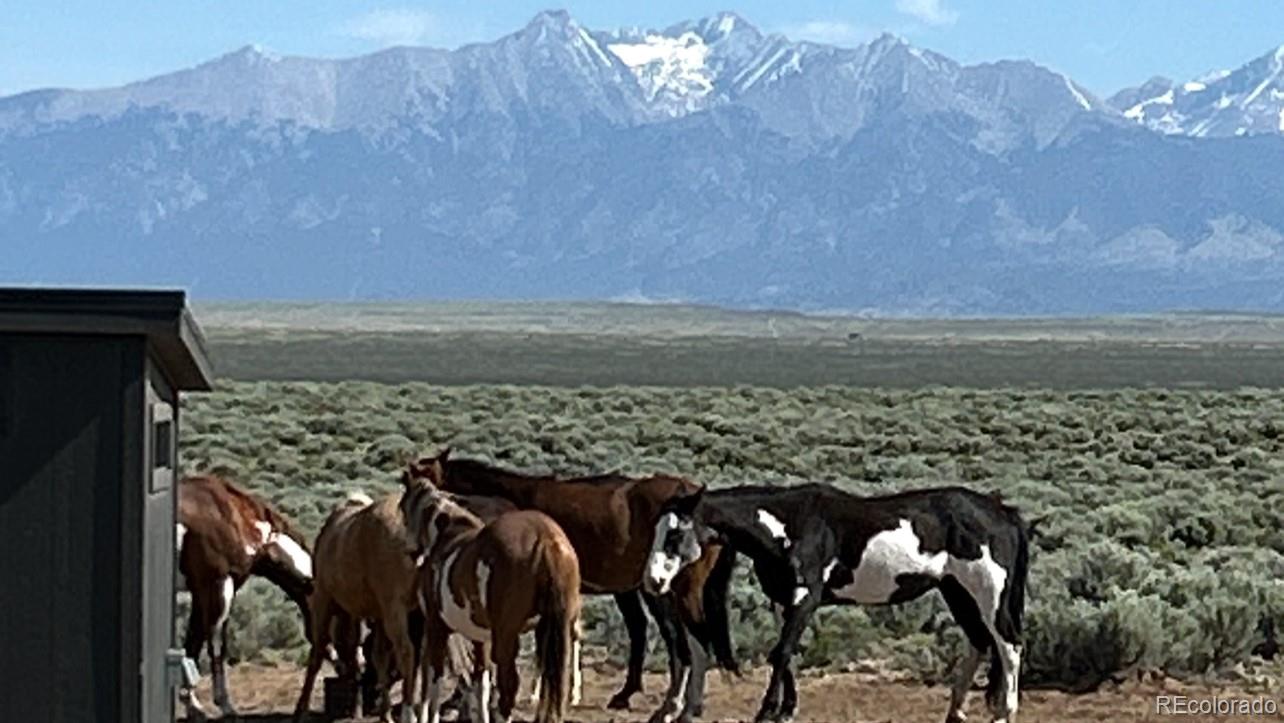 16363 Peacock Road San Luis CO 81152