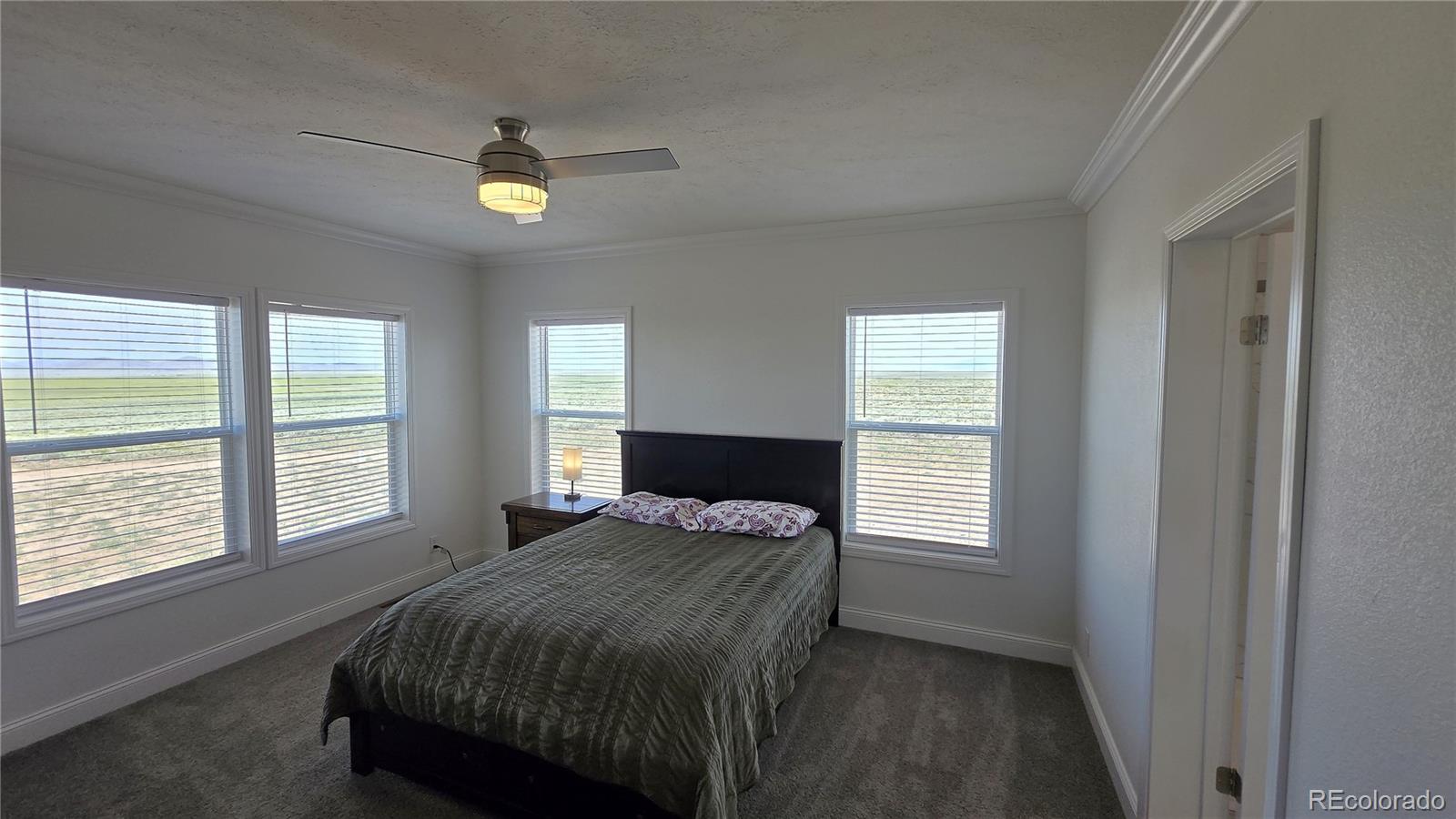 16363 Peacock Road San Luis CO 81152