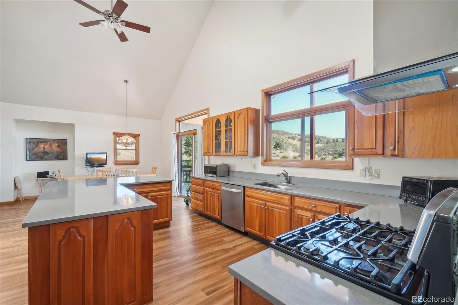 47 Sombrero Court Lyons CO 80540
