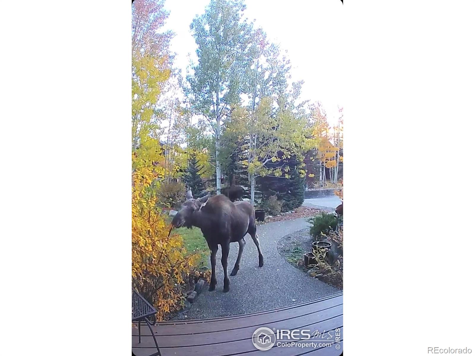 520 Night Chant Lane Frisco CO 80443