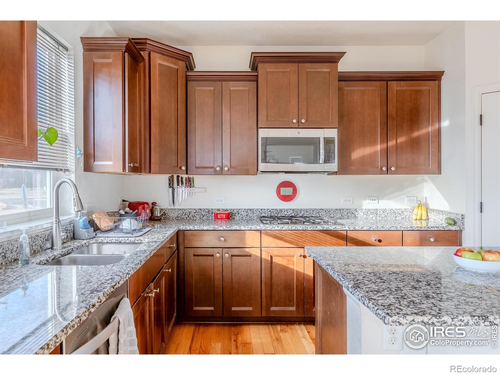 502 W 169th Place Broomfield CO 80023