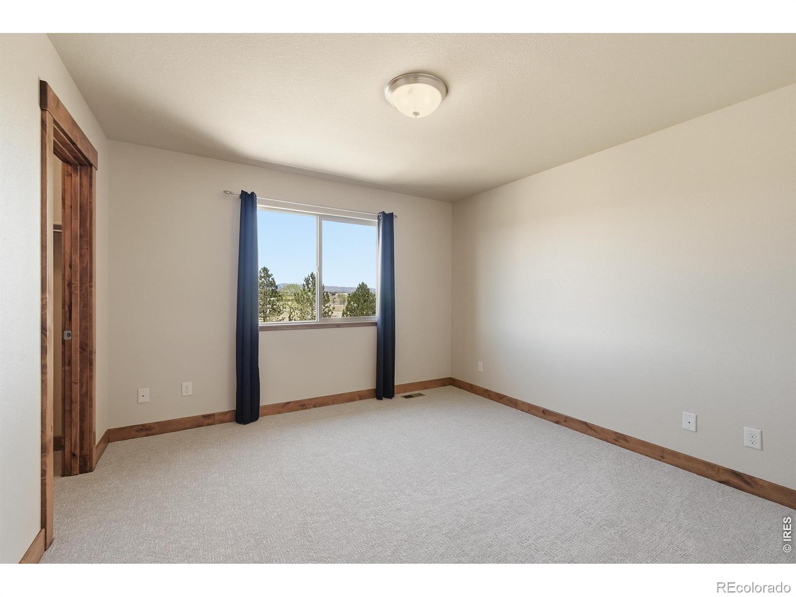 5193 Rock Hill Street Timnath CO 80547