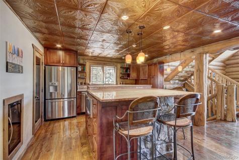 1198 Kootchie Kootchie Road Alma CO 80420