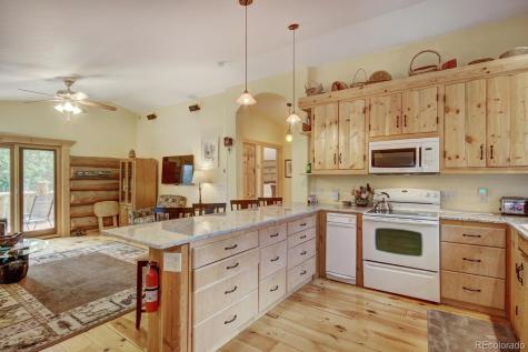 1198 Kootchie Kootchie Road Alma CO 80420