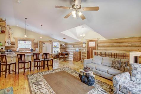 1198 Kootchie Kootchie Road Alma CO 80420