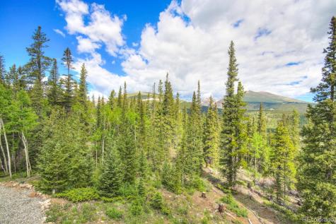 1198 Kootchie Kootchie Road Alma CO 80420