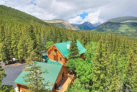 1198 Kootchie Kootchie Road Alma CO 80420