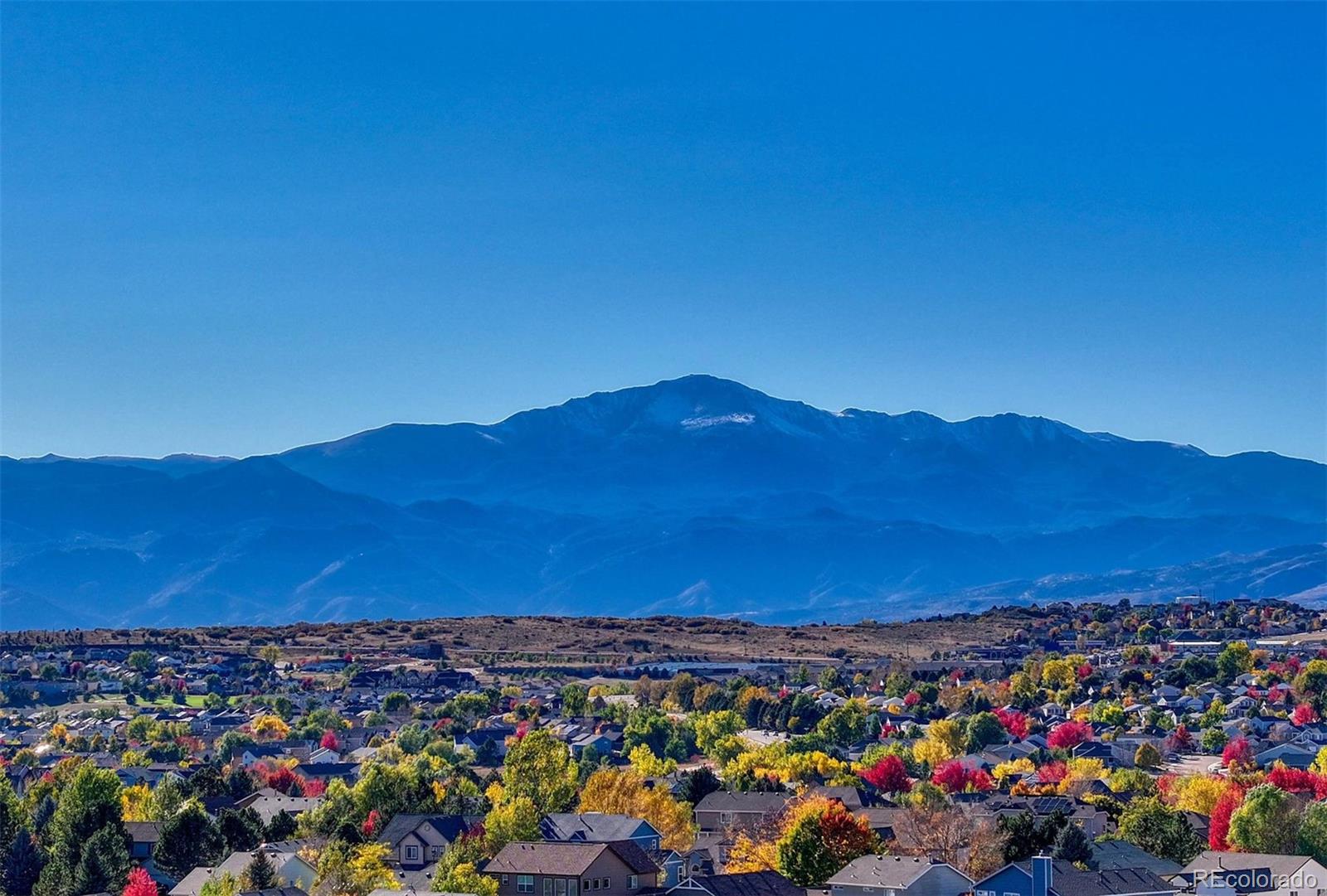 7340 Amberly Drive Colorado Springs CO 80923