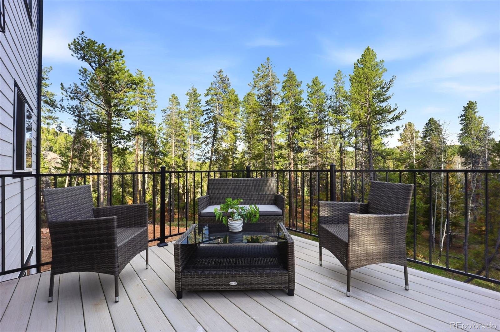 10997 Vickery Avenue Conifer CO 80433