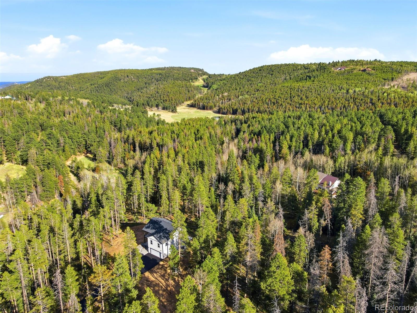 10997 Vickery Avenue Conifer CO 80433