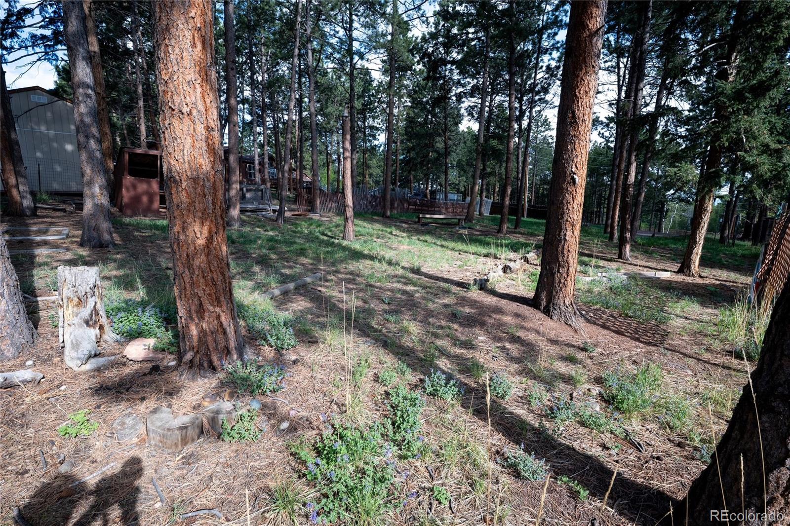 604 Whispering Winds Drive Woodland Park CO 80863