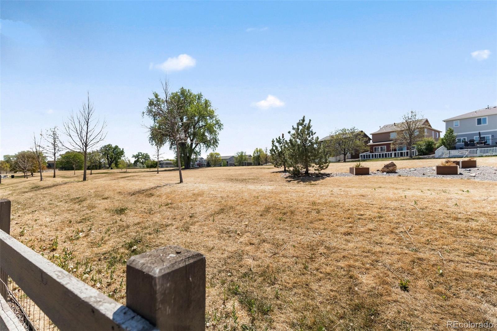 3538 E 142nd Drive Thornton CO 80602