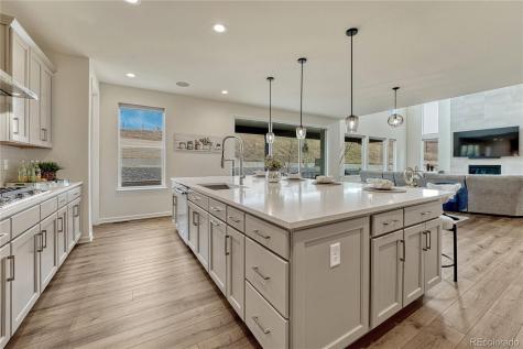 5428 Brotherton Court Castle Rock CO 80104