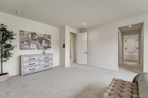 5428 Brotherton Court Castle Rock CO 80104