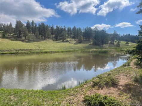 247 Pinewood Road Florissant CO 80816