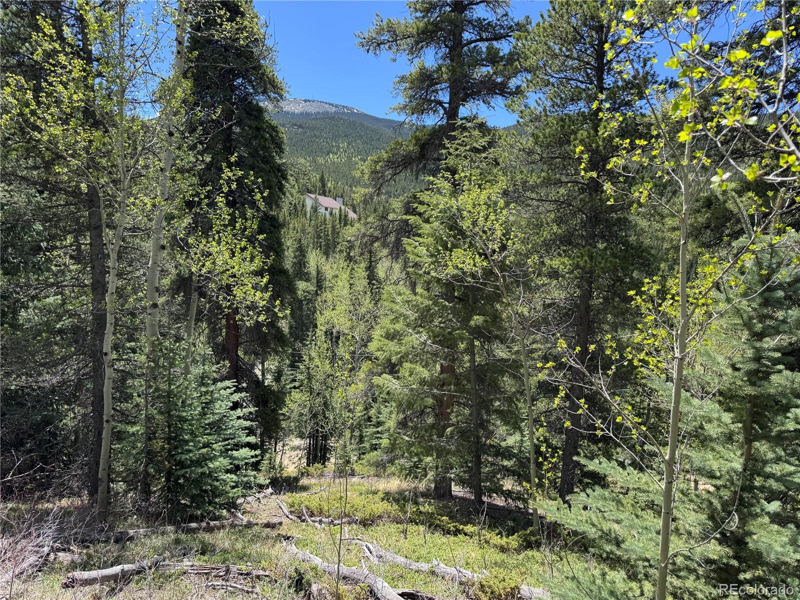 190 Blue Bell Lane Idaho Springs CO 80452