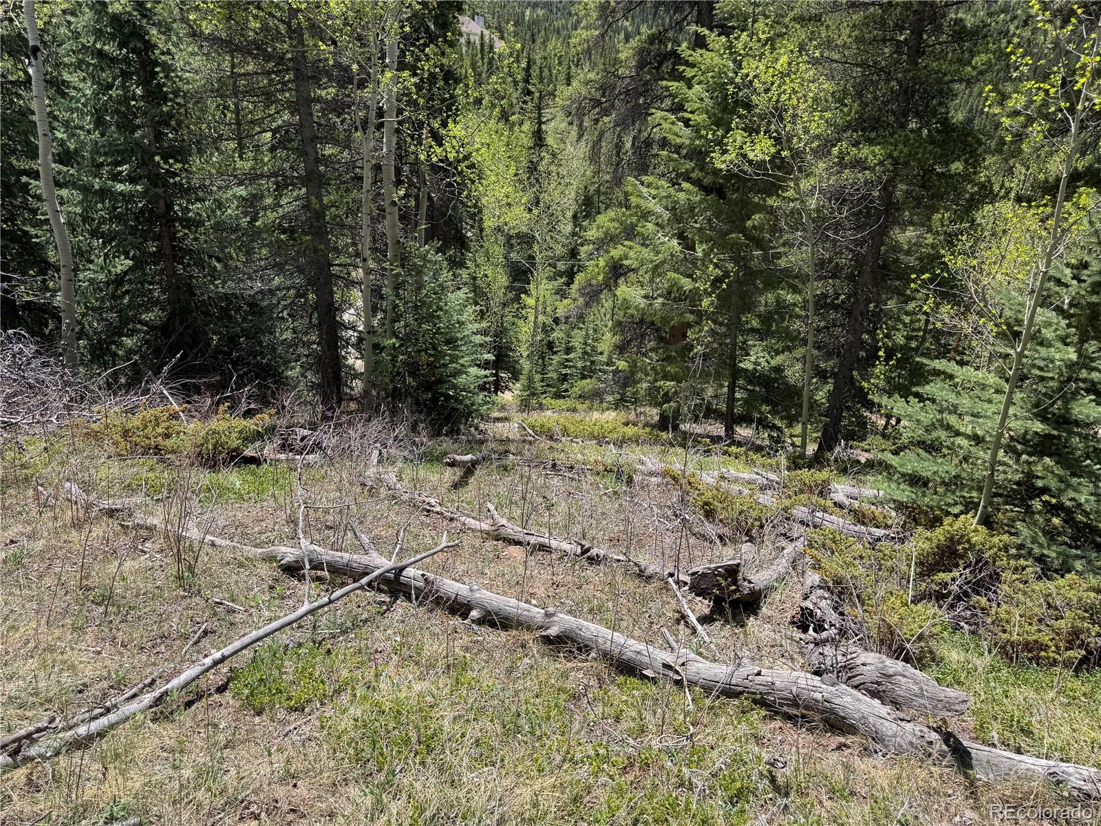 190 Blue Bell Lane Idaho Springs CO 80452