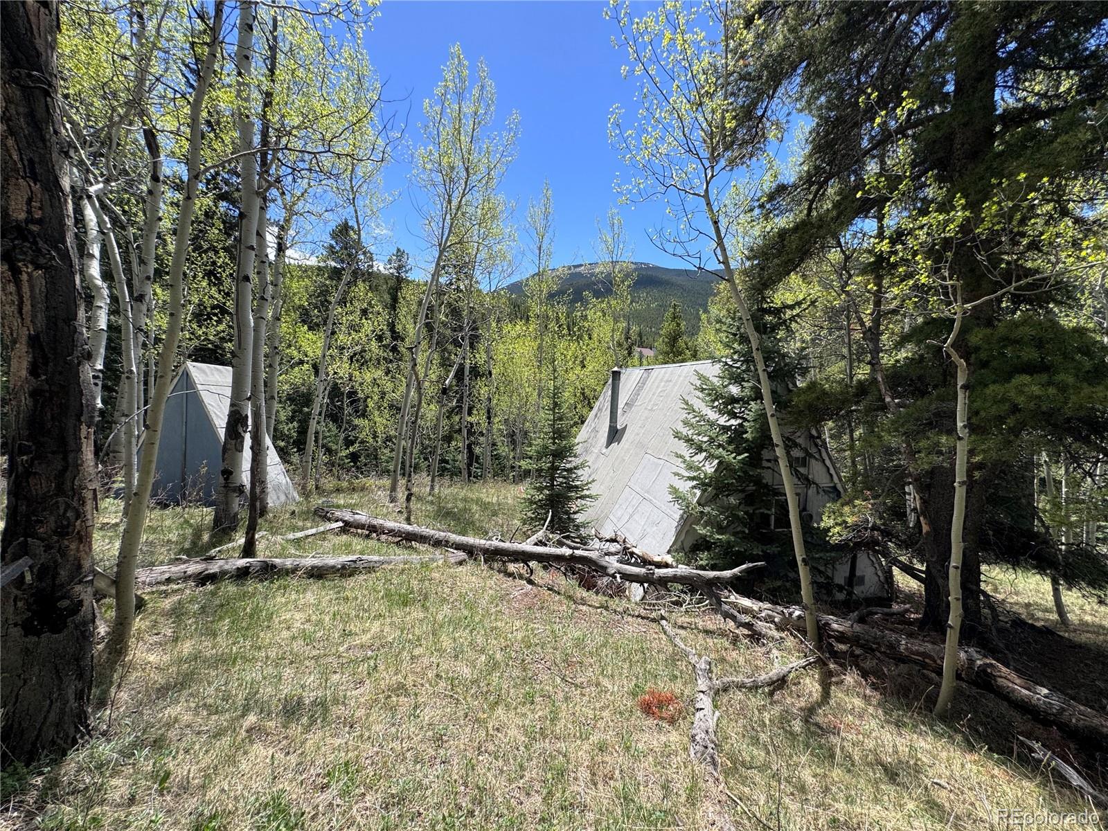 190 Blue Bell Lane Idaho Springs CO 80452