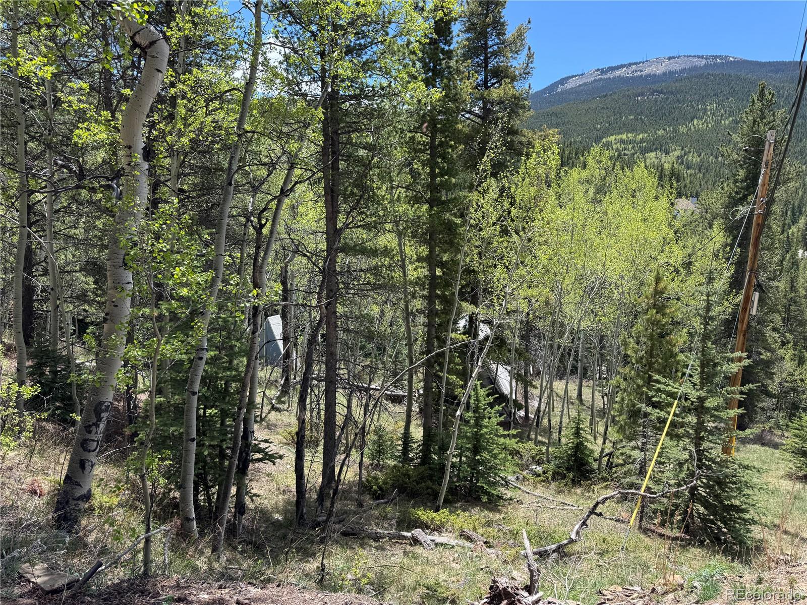 190 Blue Bell Lane Idaho Springs CO 80452
